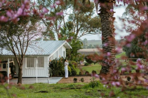 Wine Down McLaren Vale, a cosy vineyard retreat, Mclaren Vale
